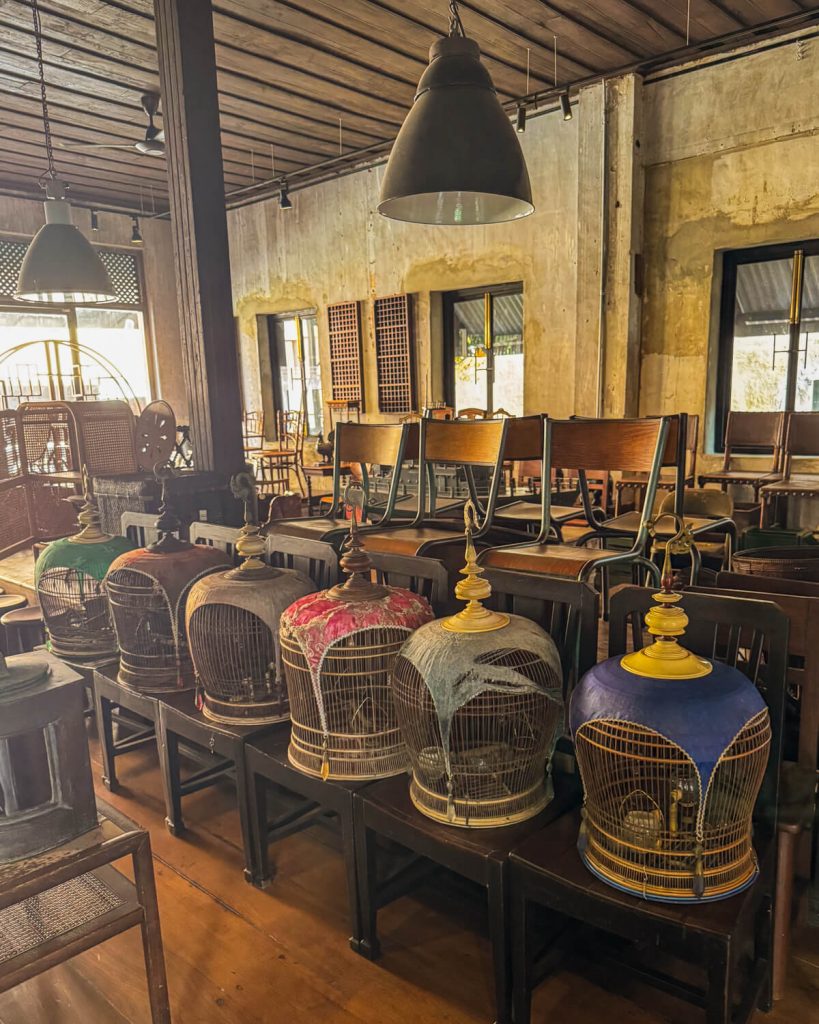 Some of the gallery items like birdcages at the gallery section of the cafe
