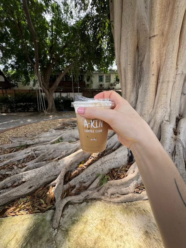 A kin coffee club with banyan tree